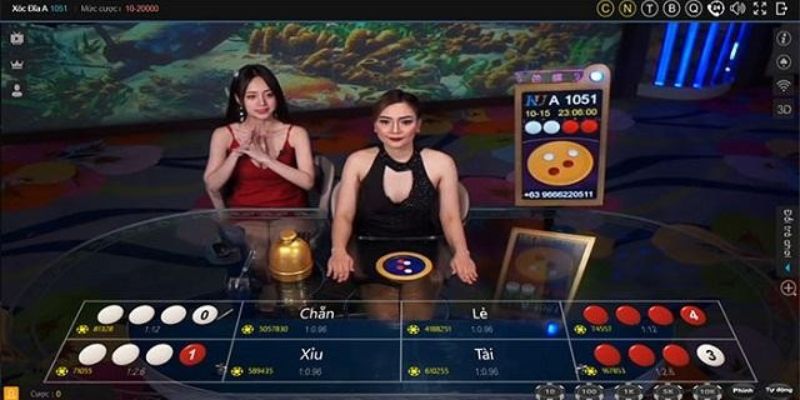 Xóc Đĩa Live