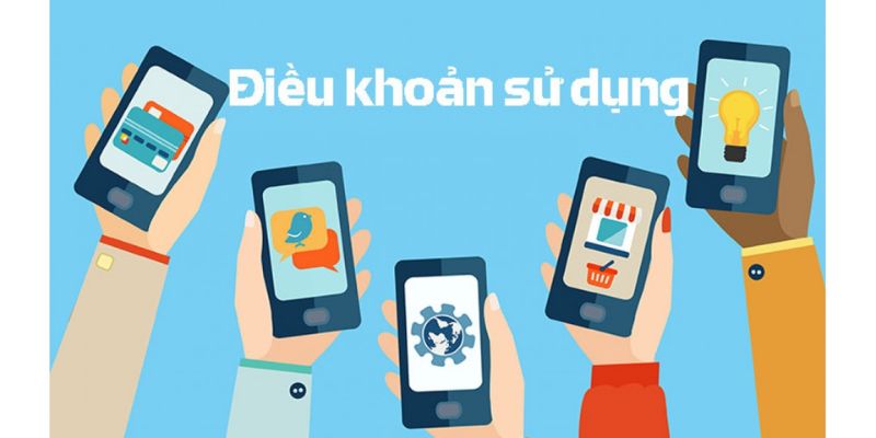 Điều Khoản Sử Dụng